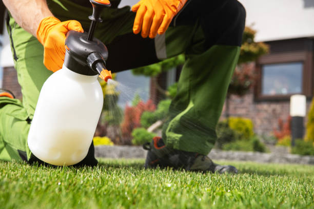 Best Residential Pest Control  in Gaithersburg, MD